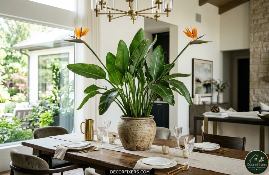 Bird of paradise plant centerpiece in a textured planter on a dining table